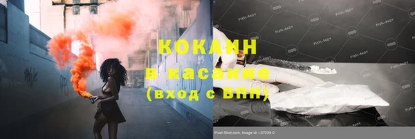 сатива Майский