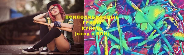 тгк Няндома