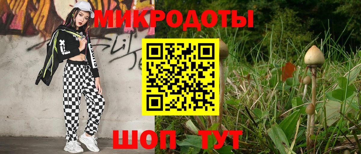 Феодосия  Псилоцибиновые грибы прущие грибы  Вход с VPN  Галлюциногенные грибы Psilocybine cubensis 