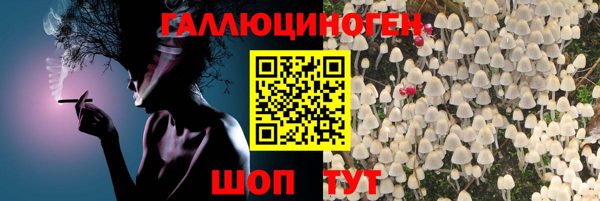 Галлюциногенные грибы Psilocybe Феодосия